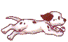 Image of a puppy.